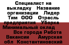 Специалист на выкладку › Название организации ­ Лидер Тим, ООО › Отрасль предприятия ­ Уборка › Минимальный оклад ­ 28 050 - Все города Работа » Вакансии   . Амурская обл.,Константиновский р-н